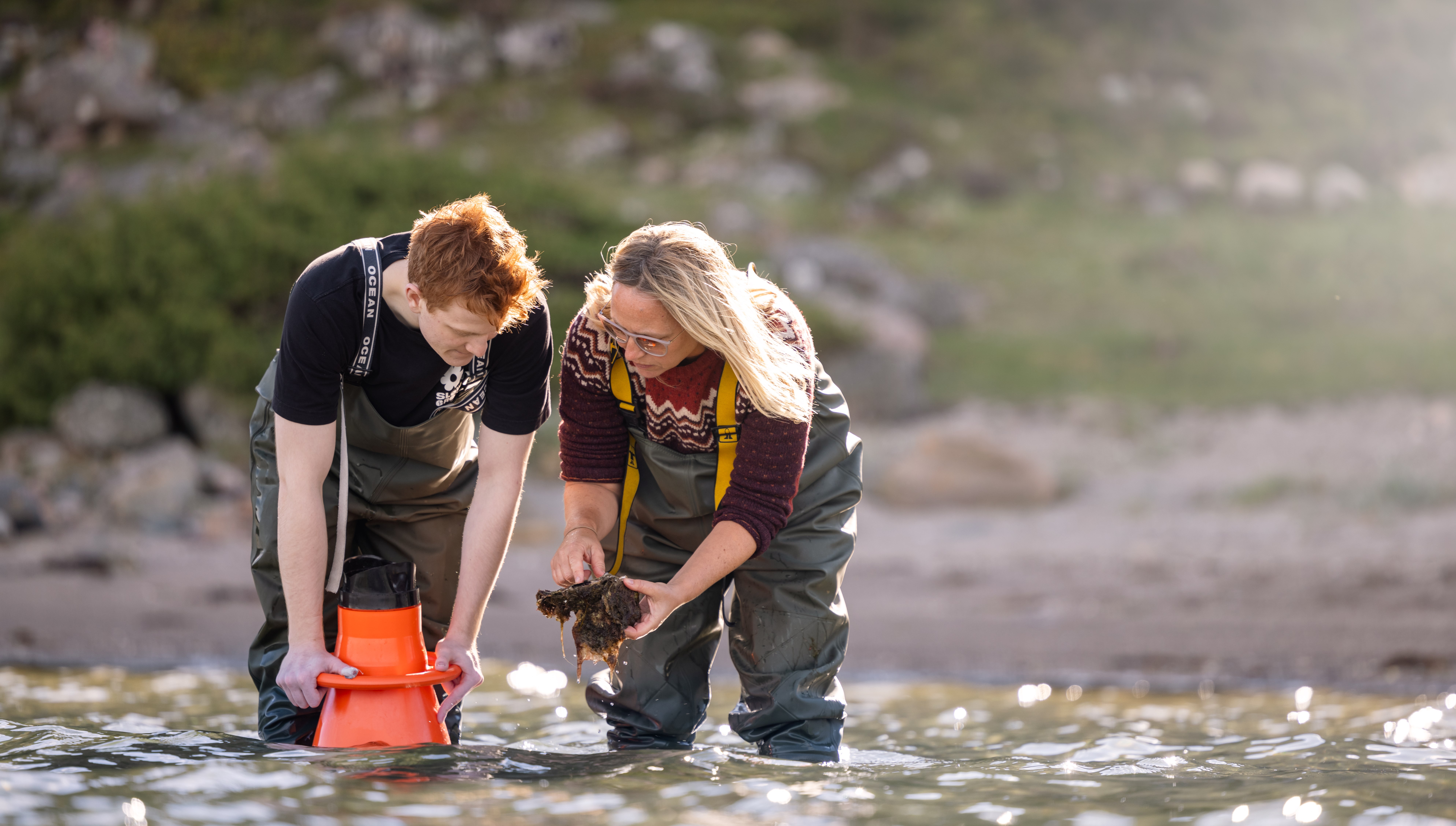 Ingen beskrivning tillgänglig